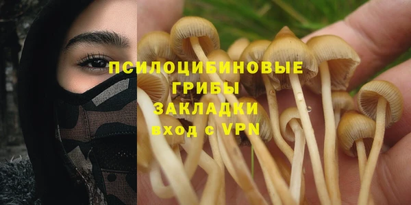 бошки Пролетарск