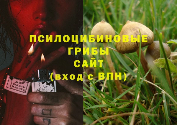 соль курить ск Протвино