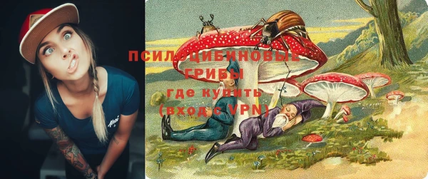 МДМА Приозерск