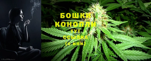 бошки Пролетарск