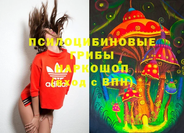 МДМА Приозерск
