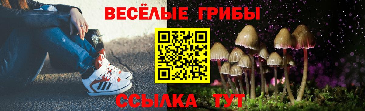 Псилоцибиновые грибы GOLDEN TEACHER  Галлюциногенные грибы Psilocybe  Ртищево  Вход с VPN 